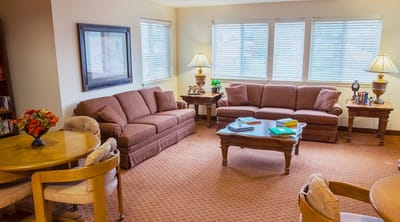 Cozy living room interior with sofas and a dining table