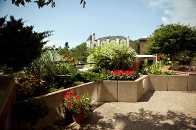 Colorful garden area with flowers and greenery