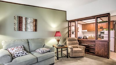 Cozy interior living space with comfortable furniture