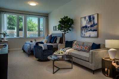 Bright interior living space with modern furnishings