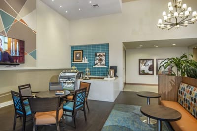 Bright and welcoming common area with seating