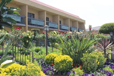Exterior view of a building surrounded by colorful gardens