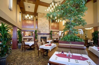 Elegant dining room in senior living facility