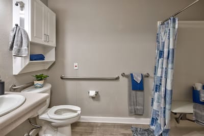 Clean and modern bathroom with safety features