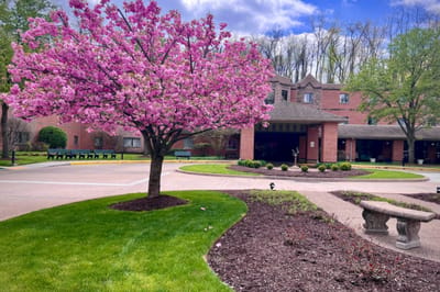 Beautiful outdoor view with flowering tree and facility entrance