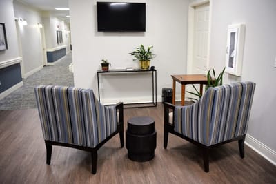 Cozy lounge area with armchairs and plants