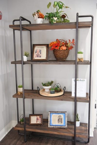 Decorative shelving unit with plants and framed pictures