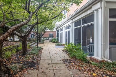 Pathway in a garden area with trees and seating