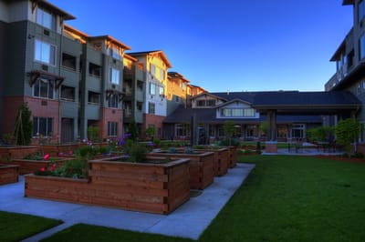 Outdoor garden area with raised planters and buildings
