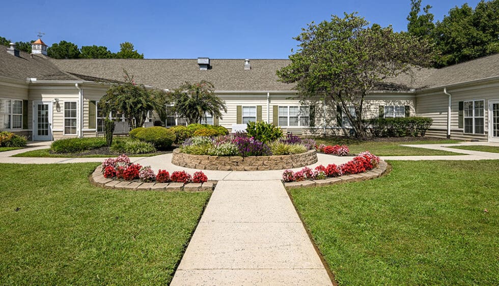 Beautiful outdoor garden space with flowers and paths