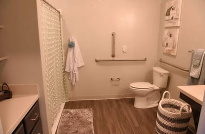 Bright bathroom with grab bars and shower