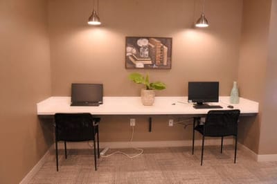Interior workspace with computers and plants