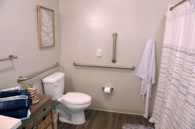 Interior bathroom with safety features and towels