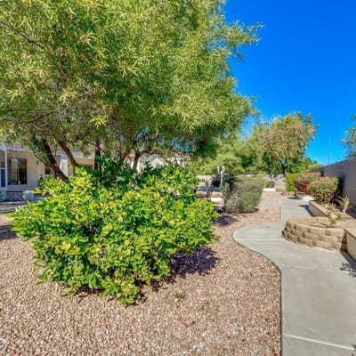 Well-landscaped outdoor area with greenery and pathways