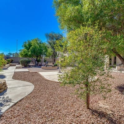 Outdoor space with pathways and trees in a tranquil setting