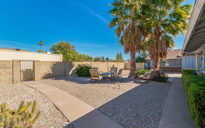 Outdoor space with seating and palm trees