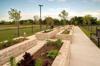 Accessible garden pathways in a serene outdoor space