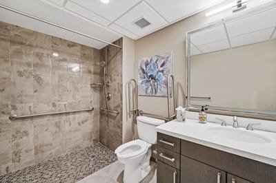 Modern bathroom with accessible features