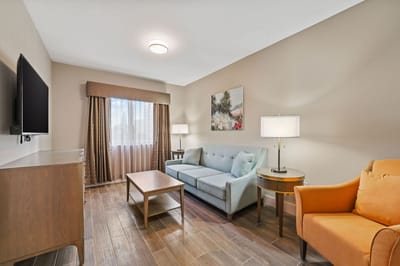 Bright interior living room with comfortable seating