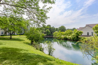 Serene outdoor space with a pond and greenery