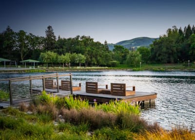 A serene outdoor space by a lake with seating