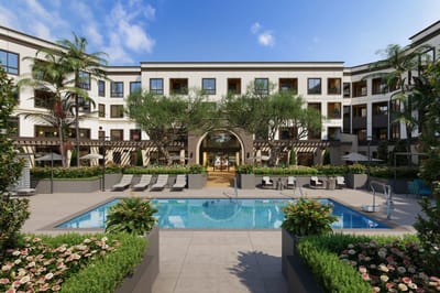 Outdoor pool area with palm trees and seating