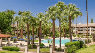 Outdoor pool area with palm trees and lounge chairs