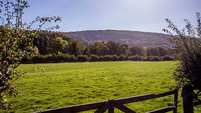 Scenic outdoor space with lush greenery and hills