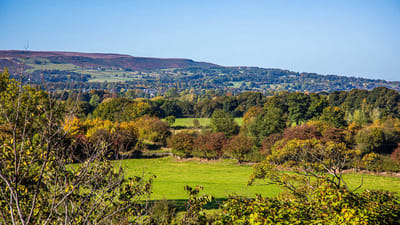 Scenic view of a countryside landscape