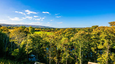 Scenic view of lush green landscape and blue sky