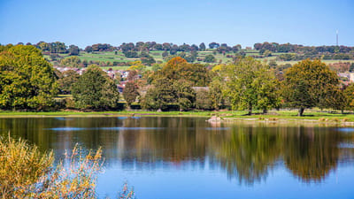 Peaceful view of a lake surrounded by trees