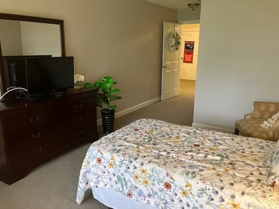 A well-decorated bedroom with a bed, dresser, and TV.