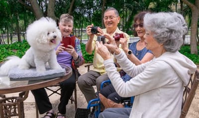 Residents interacting with a dog outdoors while taking photos
