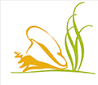 Seagrass Village logo featuring grass and a shell