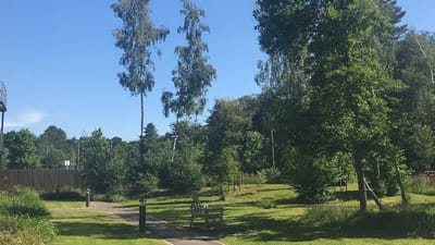 Lush garden area with a bench in a senior living community