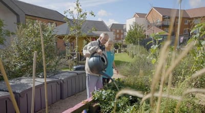 Resident watering plants in a vibrant garden