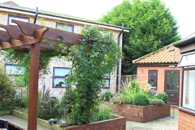 Garden area with greenery and seating structures