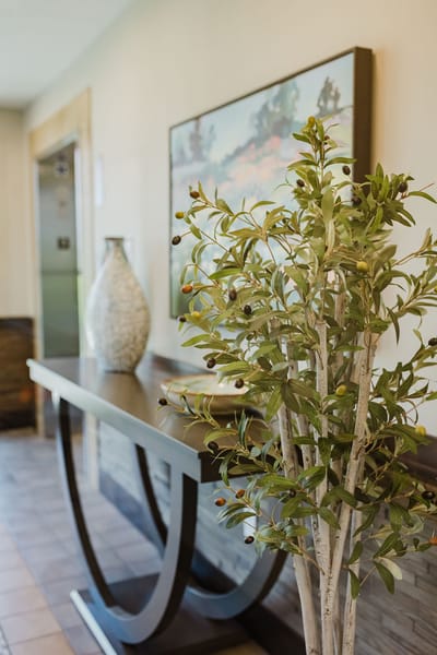 Decorative plant and table in hallway of the facility
