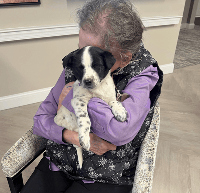 Resident cuddling a puppy in a cozy living area