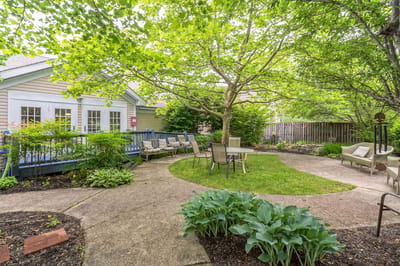 Serene outdoor space with seating and greenery