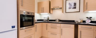 Modern kitchen interior with wooden cabinets