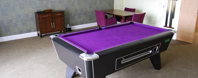Interior of a leisure room with a purple pool table