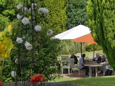 Residents enjoying time in a garden area
