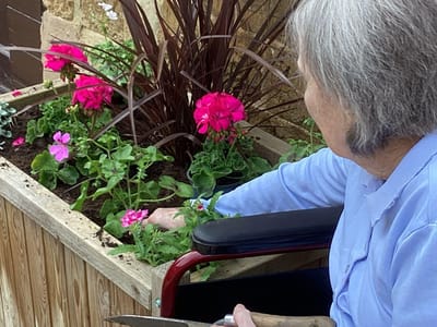 Resident gardening in a colorful outdoor planter.