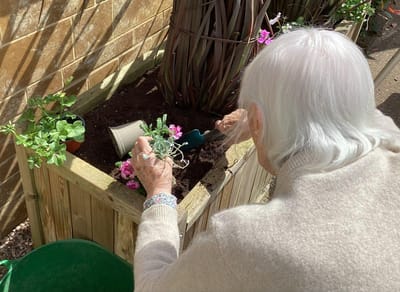 Resident gardening in an outdoor planter