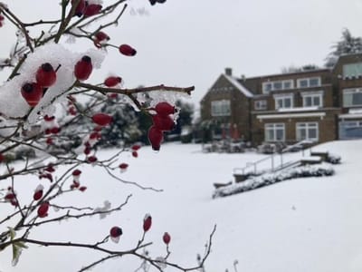 Snow-covered outdoor view of the facility.