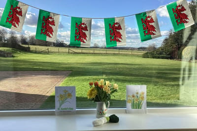 Springtime decorations with flowers and Welsh flags