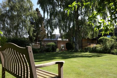 View of a serene garden with a bench.