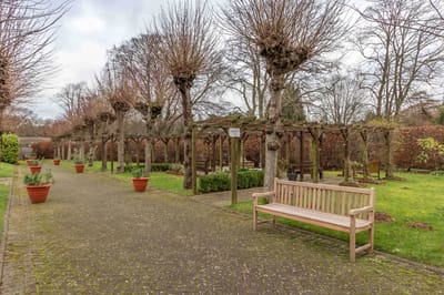 Well-maintained outdoor garden with benches and trees.