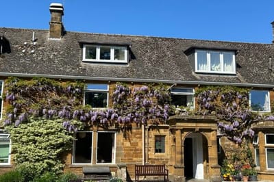 Exterior view of a building covered in wisteria.
